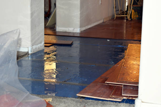 Professional Basement Flood Cleanup technician working in Gillette, NJ